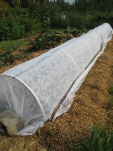 Always Getting Ready on the Homestead Image